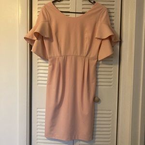 Pink Camilyn Beth Dress